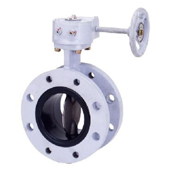 KITZ開(kāi)滋齒輪操作式不銹鋼10K芯片型蝶形閥門G-10UHB-250A