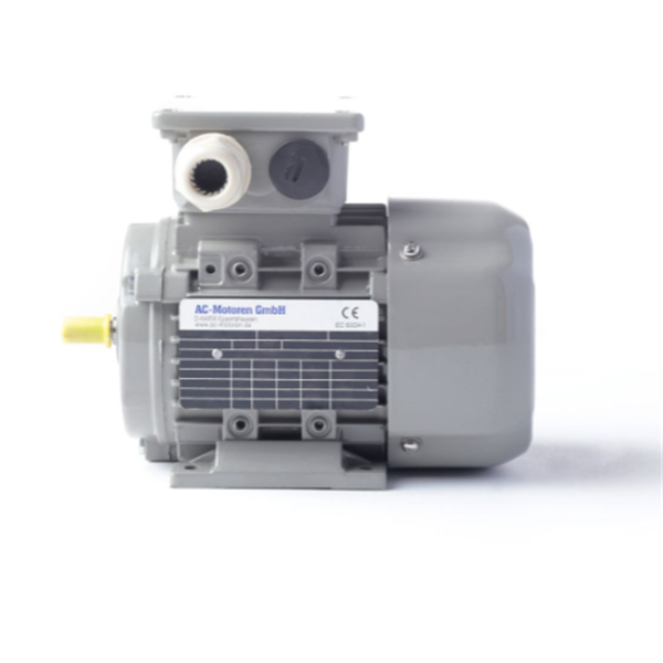 德國AC MOTOREN防火防爆電機E3-ASA 160 MA 2